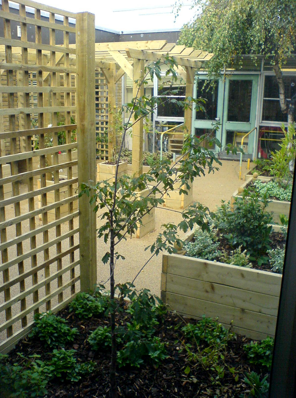 View of memorial garden and wild flowers